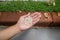 Small pebble in woman hand for garden decoration