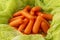 Small peeled pieces of baby carrot on green gauze cloth