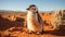 Small penguin lost in the desert, climate change concept illustration