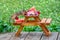 A small picnic table filled with a variety of summertime fruit