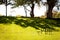 Small picnic table set in green garden