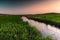 A small picturesque river among a green meadow during sunset. Small river in the countryside.