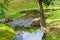 A small picturesque river with stones in the park