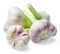 A small pile of fresh early garlic on a white isolated background. Side view.