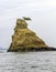 Small pine on the top of a rock protruding from the sea, Japan