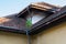 A small pine tree is growing in the gutter of a neglected house roof