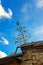 Small pine tree on the roof