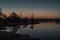 Small pine trees reflecting in pond of a marsh. Kemeri national park