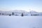 Small pine tress with Palandoken mountains with snow in Erzurum