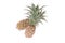 Small pineapple