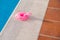 Small pink flamingo float deflated on the edge of a swimming pool, summer time