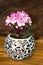 A small, pink Viola plant in a colorfull glas pot.