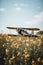 A small plane sitting in a field of flowers. AI generative image.