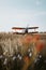 A small plane sitting in a field of tall grass. AI generative image.