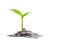 A small plant growing from pile of coins suggesting financial growth and prosperity