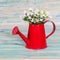 Small plant in a red watering can on color wood