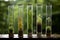 Small plants test tube garden. Generate Ai