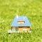 Small plastic house on green grass