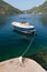 Small pleasure boat floats moored in Perast