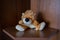 Small plush lion on a shelf in the room