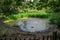 Small pond in Banstead woods