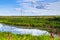 A small pond on the blooming meadow. Boundless russian expanses.