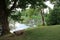 Small pond covered with thickets and banks with abundant vegetation