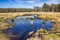 Small pond in the forest of the Drents-Friese Wold