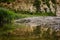 Small pond with grass reflection near peaceful seaside