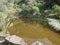 Small pond or lake and lush vegetation at botanical garden, Jardin Botanico Canario Viera y Clavijo, Tafira, Gran