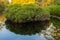 A small pond in a natural  moor reflects the surroundings