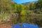 A small pond shows reflections of colorful trees.