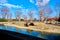 Small pond and sky background together with groups of Hamadryas baboon