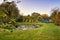 small pond on a summer day in the garden