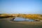 Small pond in Taklamakan Desert