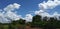 Small pond tree current pol clouds and beautiful blue sky