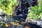 Small pond with a waterfall and koi carps fish