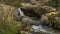 The small pond of the waterfall. Rocks, trees and water