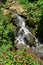 Small Ponds in Area of Tegenungan Waterfall located in Ubud, Bali, Indonesia