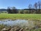 Small ponds and lowland wetland pastures in the valley along Lake Mauensee or Lake Mauen Mauesee, Canton of Lucerne, Switzerland