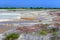 Small Pools of Salt in Rio Lagartos