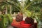 Small pots of Colorful Cycas revoluta in the garden