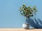 a small potted plant against a blue wall