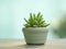 Small potted succulent plant, featuring lush green foliage. AI-generated.