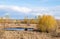 Small Prairie Pond with Reeds Around It