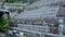 Small praying monk statues at Hase Dera Temple in Kamakura