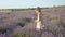 Small pretty girl in beautiful dress on summer holidays. lavender flowers collect in rural landscape