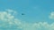 Small Propeller Airplane Flying High In the Sky
