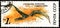 Small pterosaur Sordes, prehistoric fauna, circa 1990
