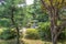 Small public traditional garden, Teramachi, Kanazawa, Japan.